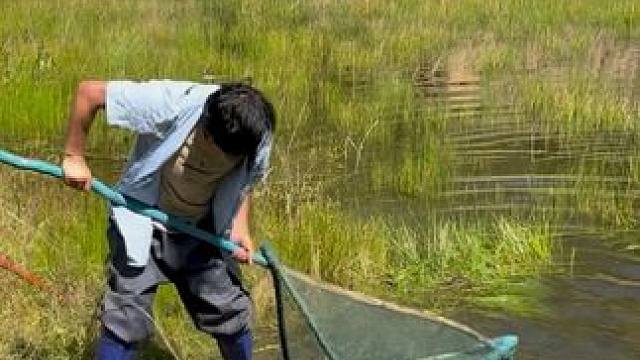 #户外捕鱼 #好大一条鱼