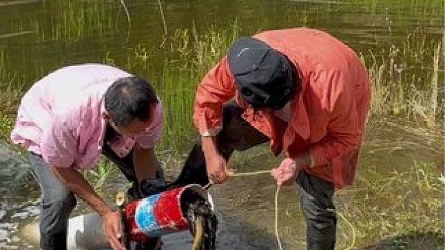 #户外捕鱼 #好多鱼