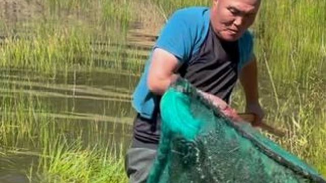 #户外捕鱼 #好大一条鱼