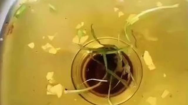 #小妙招大作用 #实用小技巧 #生活好帮手 #清洁#清洁妙招