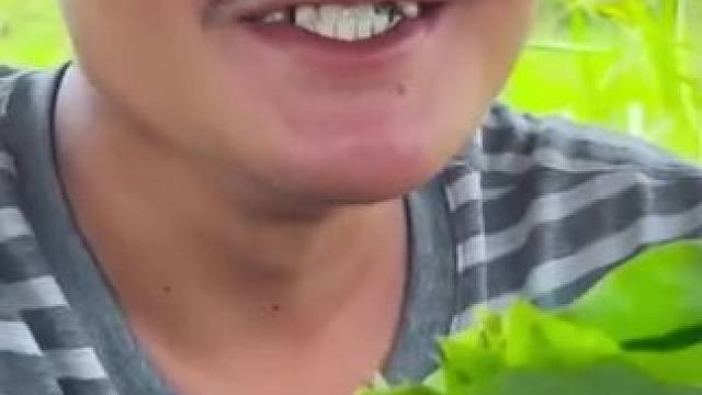 东南亚地包天 #我的乡村生活 #东南亚八面佛 #原始美味 #农村美食记录生活 #农村生活