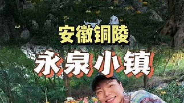 永泉小镇的物价真的这么吓人吗？ #永泉小镇 #亲子游玩好去处 #发现中国之旅 #为中国小城上分 #人