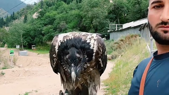 胃酸足够强大就可以了
