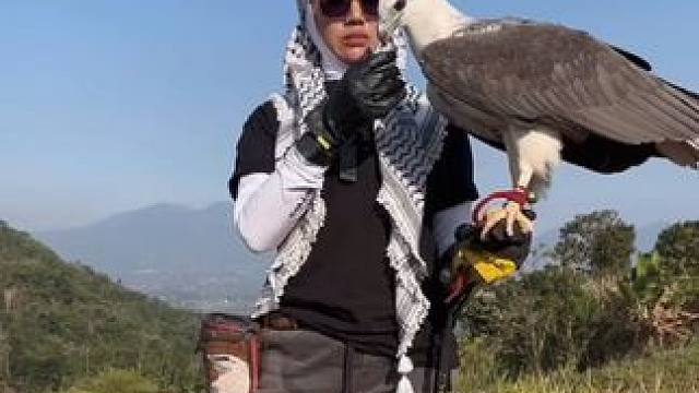 国外美女的宠物白腹海雕 #国外视频分享 #奇妙的动物 #宠物