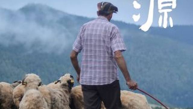 远方的羊群在向你招手～ #洞氮胡记羊肉馆  #烫皮羊肉火锅  #916开市