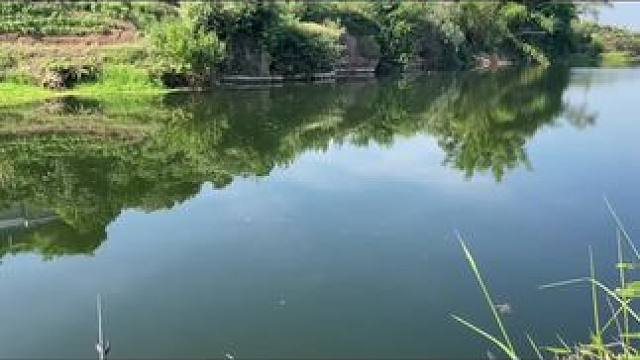 新手钓鱼5个技巧高手请飘过 新手钓鱼
5个技巧
高手请飘过
#钓鱼的乐趣