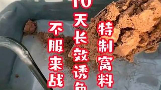 特制窝料10天长效诱鱼，黄泥做窝料野钓聚鱼不走，不服来战！ #窝料制作 #鱼饵制作 #窝料饵料 #窝