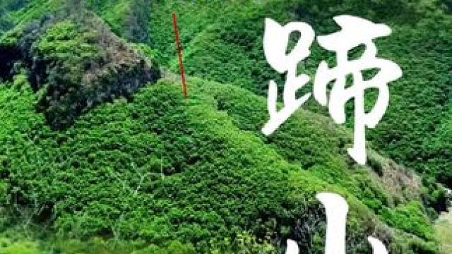 发挥你的想象力，看这处风景像什么？ #随手一拍都是美景 #大自然的鬼斧神工 #家乡美景随拍 #山里d