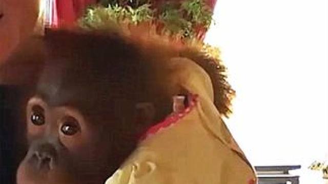 亿万富豪也直呼烧不起钱的比赛赛车 #富豪 #纪录片