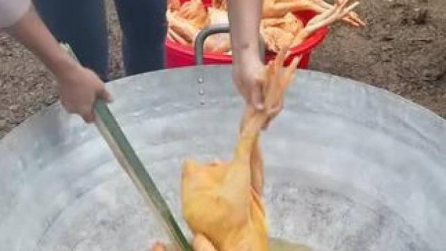 感受一下原生态的乡村生活吧~