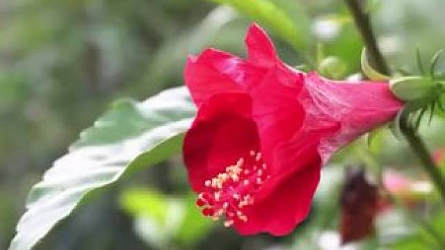 感受一下原生态的乡村生活吧~