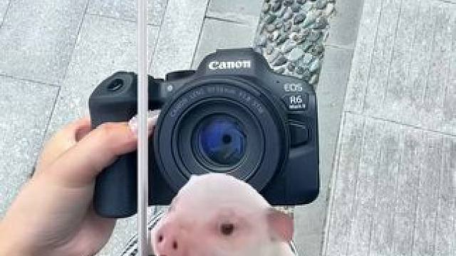 八年女摄在线一对一教你怎么选相机哈！ #相机 #相机推荐 #入门相机推荐 #我的宝藏相机 #微单相机