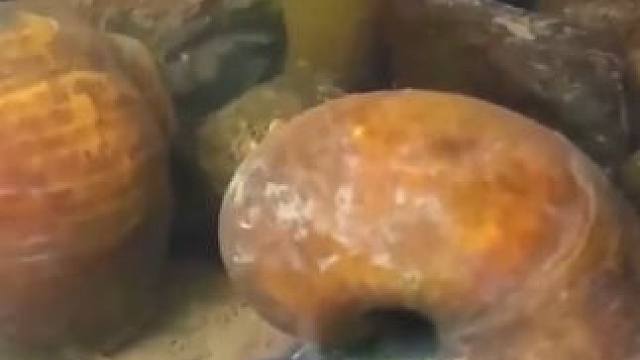 美味的蜗牛咖喱鸭蛋晚餐