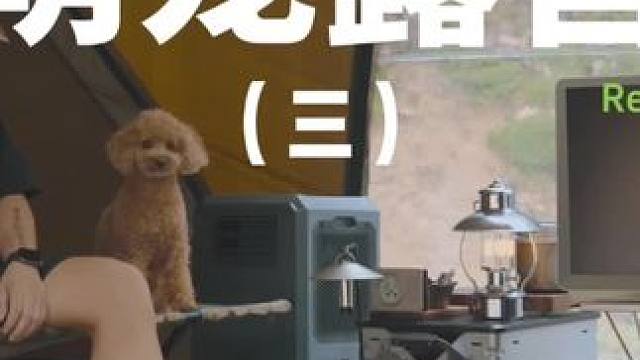 萌宠露营（三）#露营 #解压 #助眠 #萌宠 #户外露营