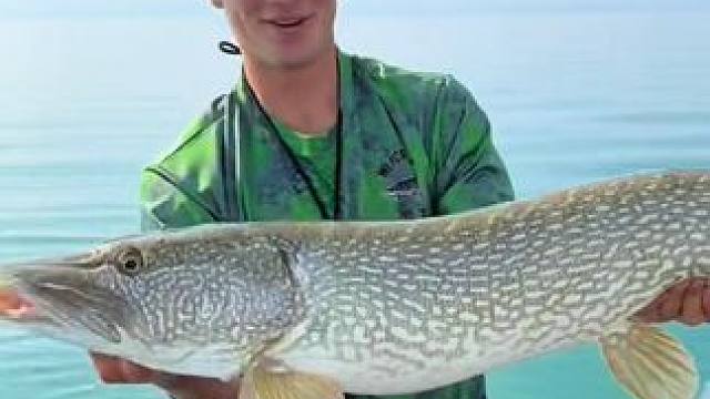 #国外视频分享 #好大一条鱼 #钓鱼的乐趣只有钓鱼人懂