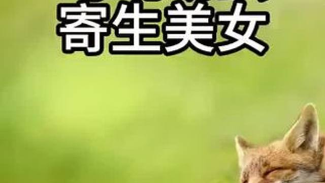 这马蝇幼虫真是可恶啊#马蝇幼虫