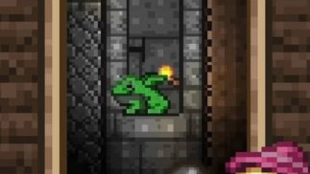 开学了，给各位冒险家们出几道小题。 #泰拉瑞亚 #泰拉瑞亚手游