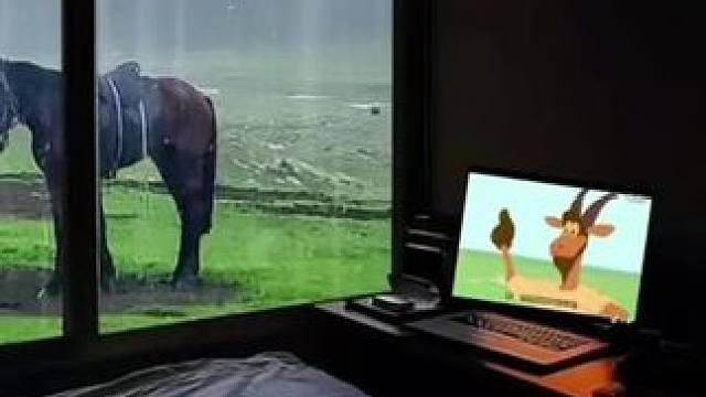 #窗外的风景 #享受这悠闲时光 #享受安静 #实景拍摄效果