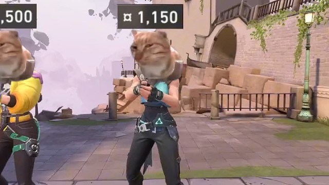 不给队友起枪的钱包不是好钱包