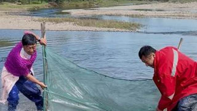 #户外捕鱼 #好多鱼