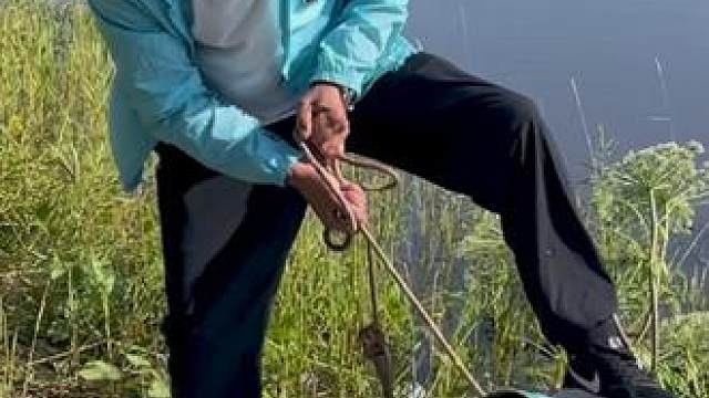 #户外捕鱼 #好多鱼