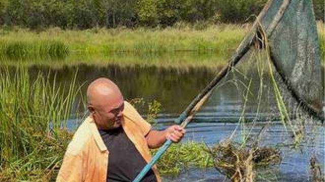 #户外捕鱼 #好大一条鱼