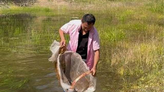 #户外捕鱼 #好多鱼