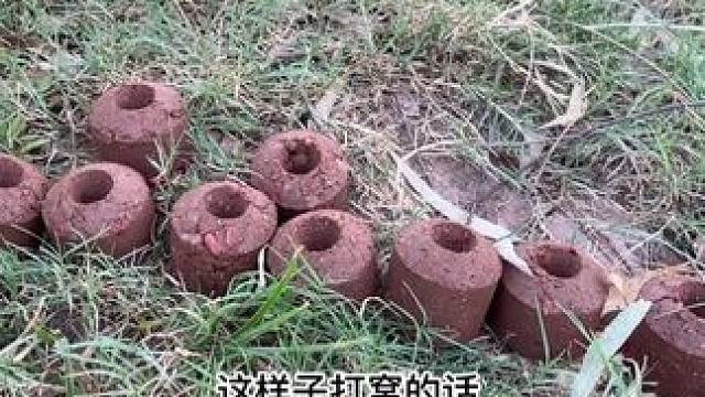 诱鱼留鱼最久的窝料 诱鱼留鱼最久的窝料#爆护饵料 #鱼饵制作 #秘制饵料 #自制饵料 #窝料制作