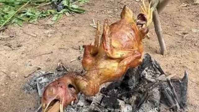 烤鸡 #东南亚八面佛 #我的乡村生活 #户外烤鸡 #野炊烤鸡 #农村生活