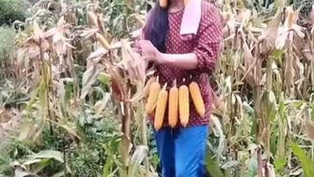 我发布了一个新视频，快来围观吧！