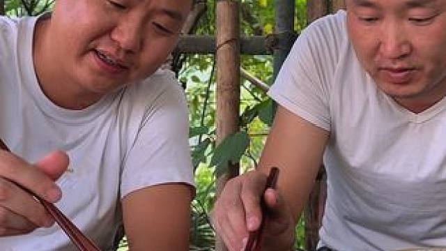 新农人计划2024~