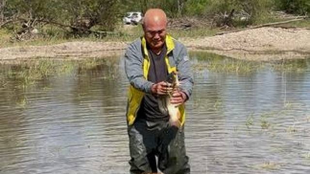 #户外捕鱼 #好大一条鱼