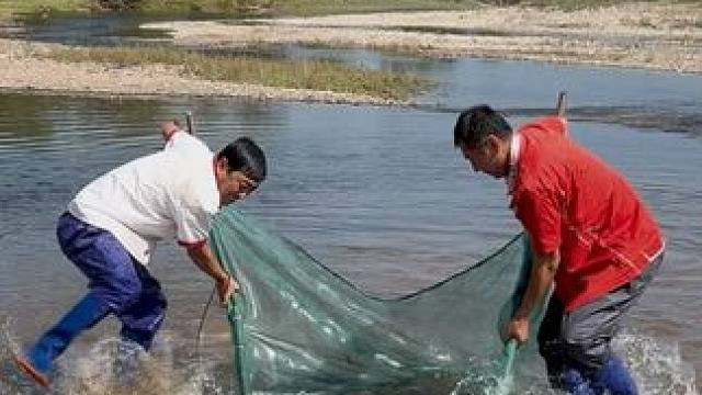 #户外捕鱼 #好多鱼