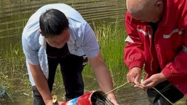 #户外捕鱼 #好多鱼