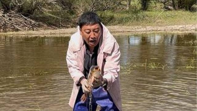 #户外捕鱼 #好大一条鱼