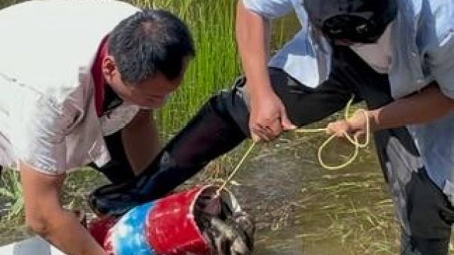 #户外捕鱼 #好多鱼