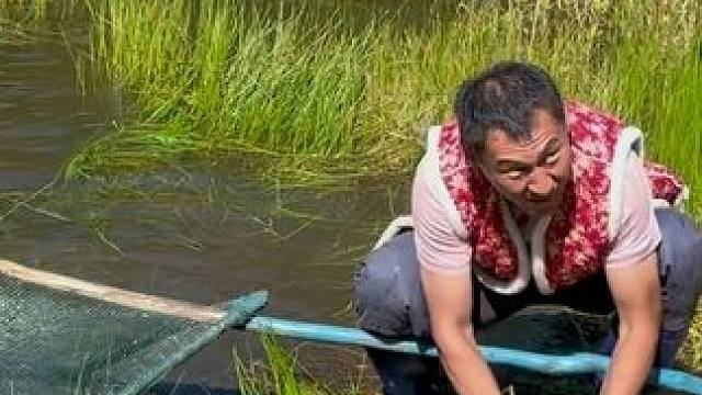 #户外捕鱼 #好大一条鱼