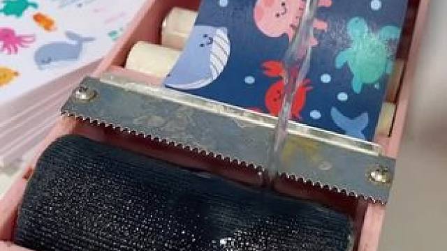 外国小姐姐沉浸式打包订单 #助眠解压 #解压 #声控解压 #强迫症治愈系 #极度舒适