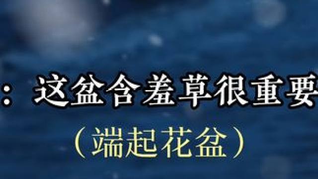 #小说 看到你摔碎这盆花时，他彻底崩溃了（虐死了呜呜呜
