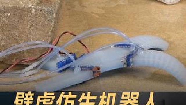 耶鲁大学仿生机器人，自动断肢求生，还能组合成一体#机器人 #耶鲁大学 #科技改变生活 #科技创新
