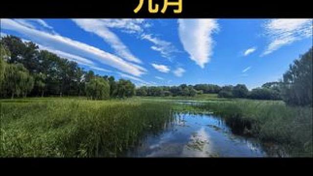 #透过水面看阳光好像梦境 #透过水面看阳光好像梦境 #永远喜欢大自然的生命力