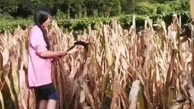 山卡卡里的农村大姐学费了开直播每天收获满满您还在恐播怕播不敢开播开播了不知说什么吗#记录真实生活#农