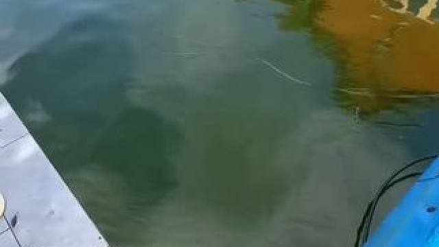 泳池清洁来了#dou上热门 #清洗泳池 #舒服又解压 #极度舒适 #专业的事情交给专业人去做