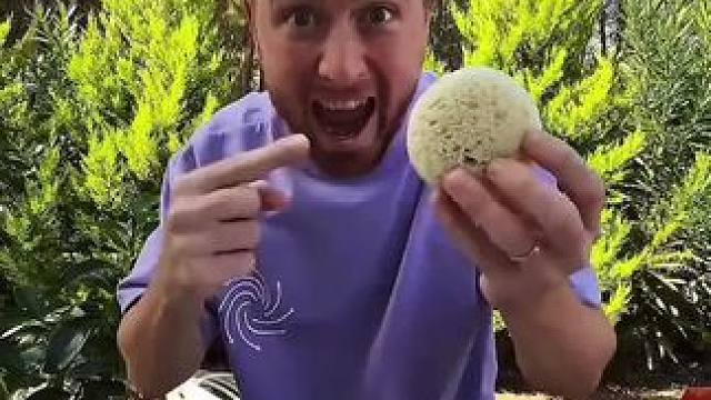 亲手为媳妇做的面包，真的是营养又健康！ #看一遍笑一遍 #老外真会玩 #老外都在沉迷麻辣棒棒 #这操