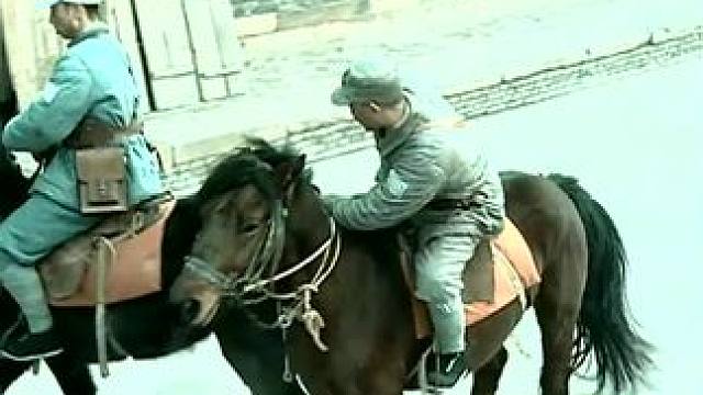 下载《西瓜视频》，免费观看精彩后续/精彩海量免费短剧免费看cwaw18 #因为一个片段看了整部剧
