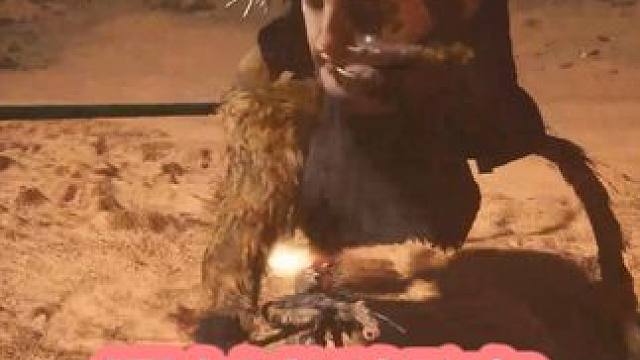 黑神话悟空-击败黄风大圣 #黑神话悟空  #黑神话 #悟空 #西游记 #单机游戏