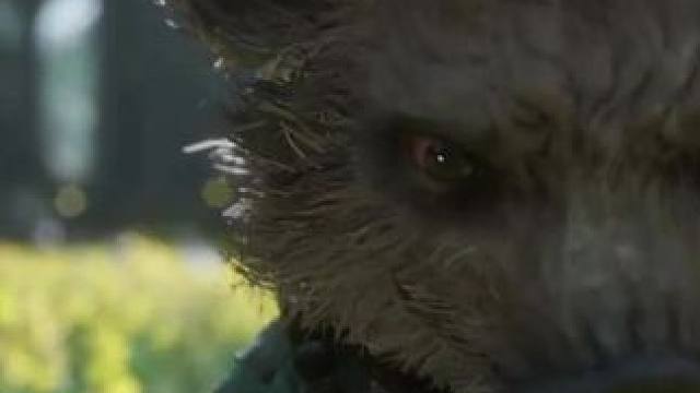 躲天意，避因果，诸般枷锁困真我！#黑神话悟空 #黑神话悟空猪八戒 #猪八戒与蜘蛛精 #主机游戏 #s