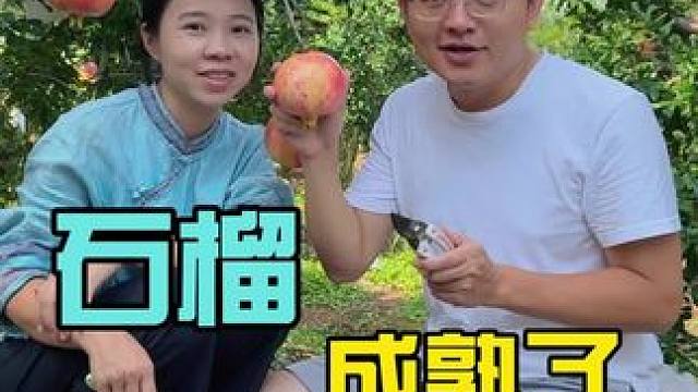 石榴的这种吃法绝了，小朋友很喜欢 #石榴
