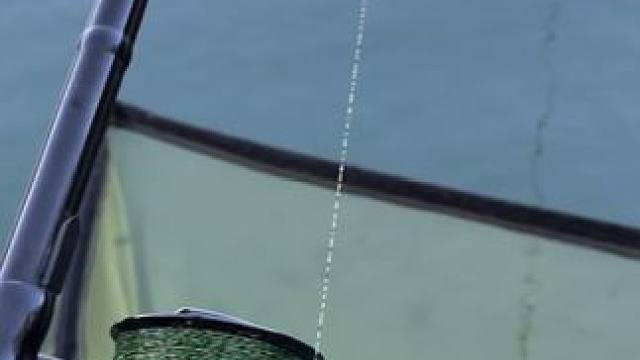 听着上头#钓鱼人请路过