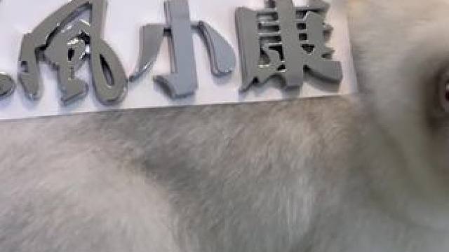 他们只知道说东风小康，但他可以带我去远方#车星计划 #问界